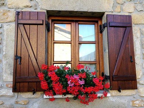window  flowers  facade