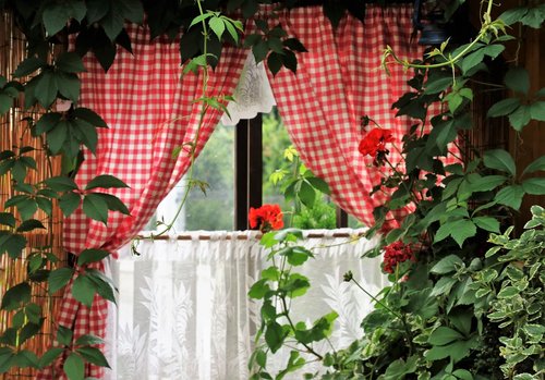 window  pane  foliage