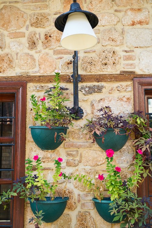 window  flowerpot  wall