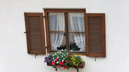 window  windows  flowers