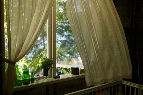 window  curtain  summer