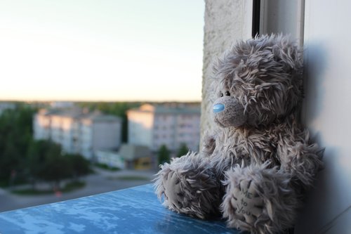 window  teddy  bear