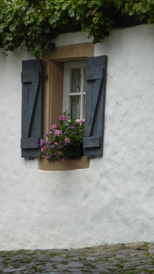window shutter flower box
