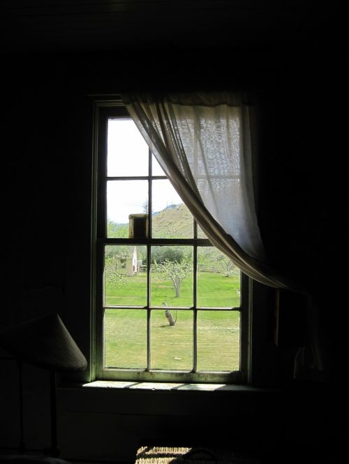window curtain curtains