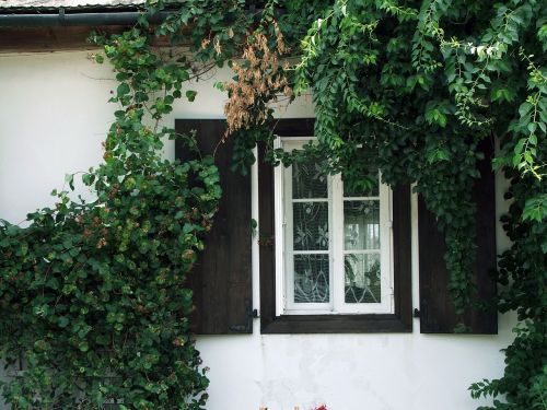 window monument detail of