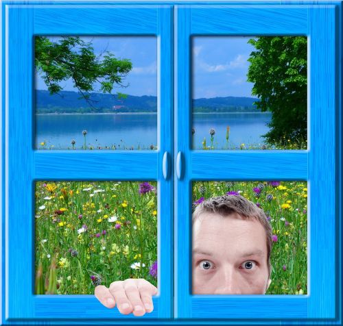 window nature man