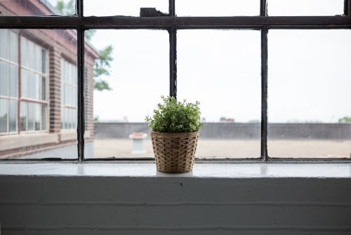 window nature interior