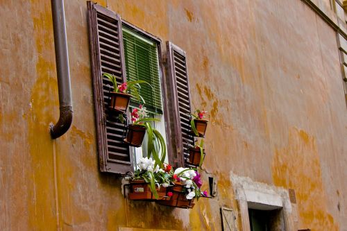 window window box home