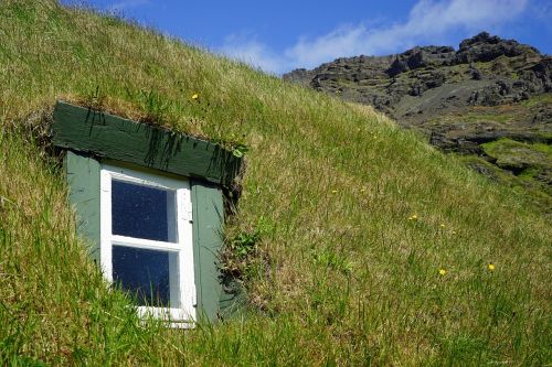 window grass roof green