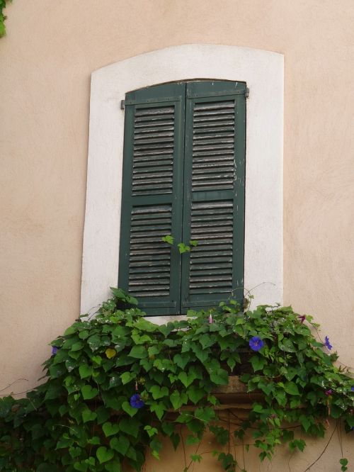 window shutters architecture