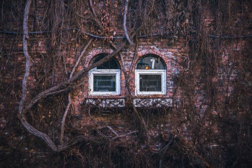 windows brick branches