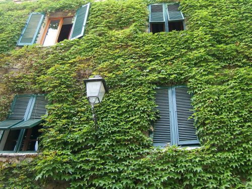windows tuscany green