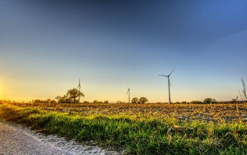 windräder wind power sunset