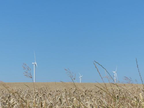 windräder wind park wind power