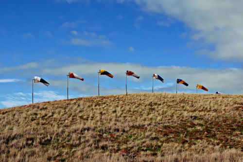 Windsocks On A Hill