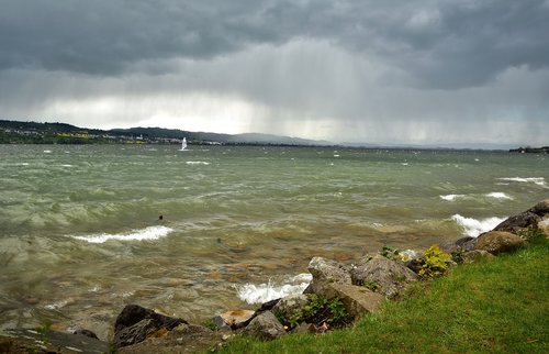 windsurfer  lake  wind surfing