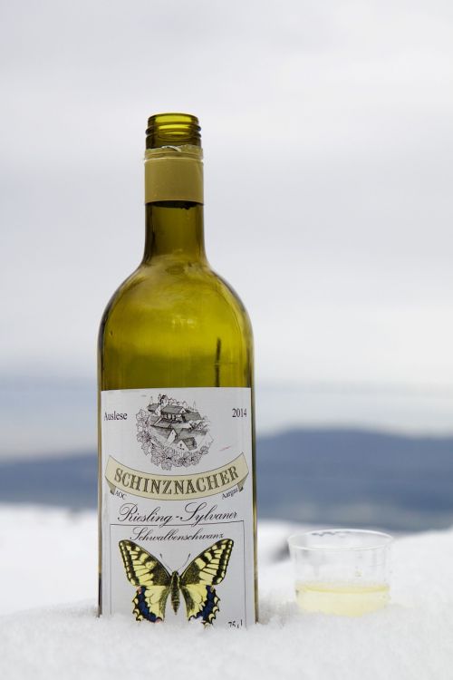 wine wine bottle snow
