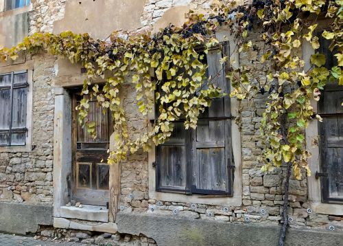 wine wall facade