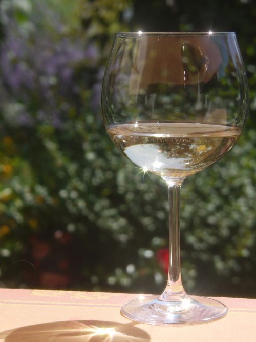 wine wineglass drink