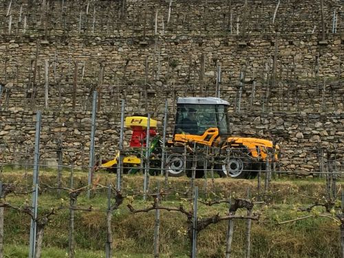 wine agriculture machines
