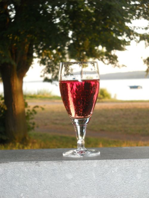 wine romance wine glass