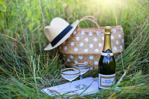 wine  champagne  picnic