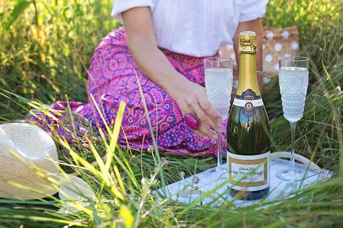 wine  champagne  picnic