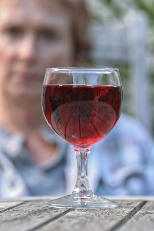 wine  red wine  glass