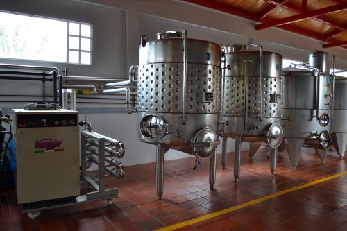wine production cantine