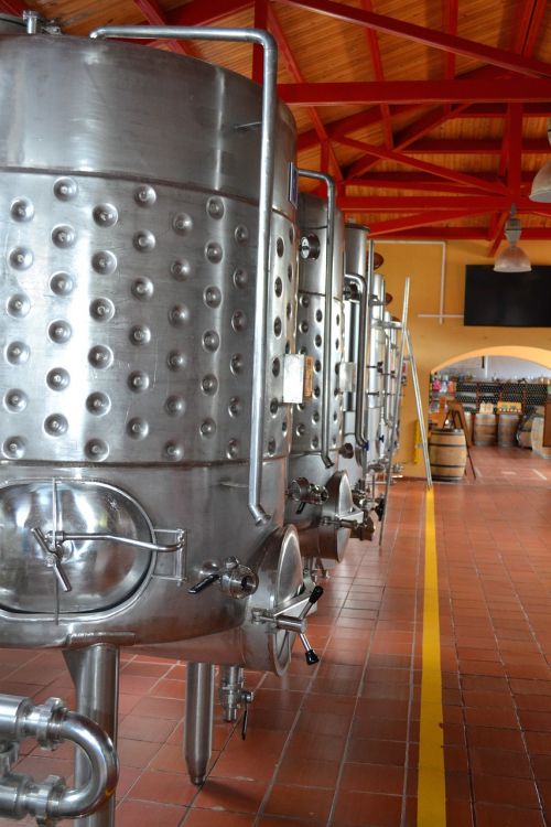 wine production cantine