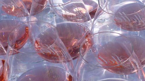 wine wine tasting glass