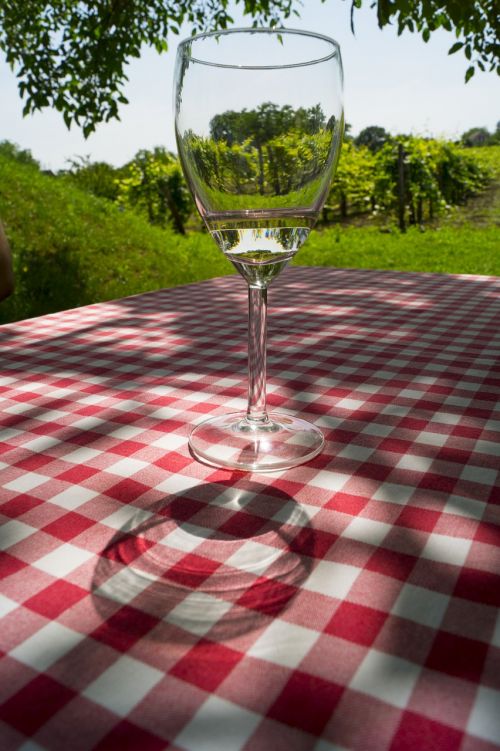 wine grape wine glasses