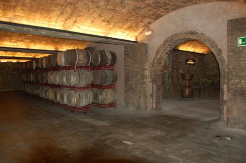 wine cellar wine spain