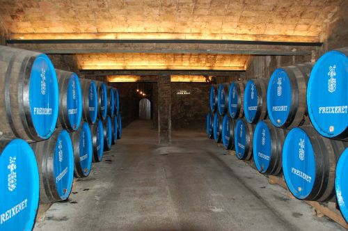 wine cellar wine barrels wine