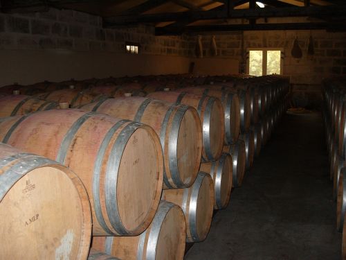 wine cellar barrels cask