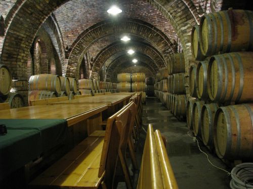 wine cellar basement barrel