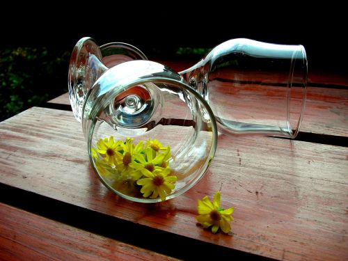 wine glasses chamomile yellow flowers
