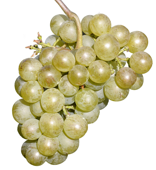 wine grapes free fruit delicious