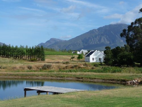 winelands cape town south africa