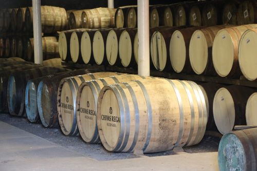 winery wine basement