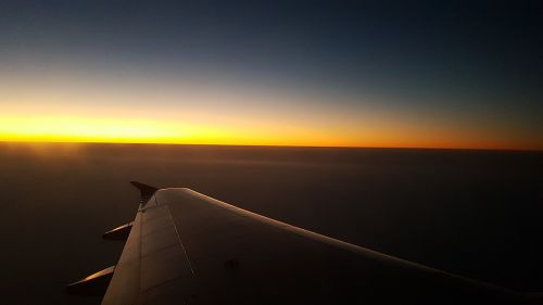 wing plane sunset