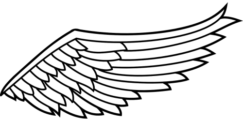 wing flight angel