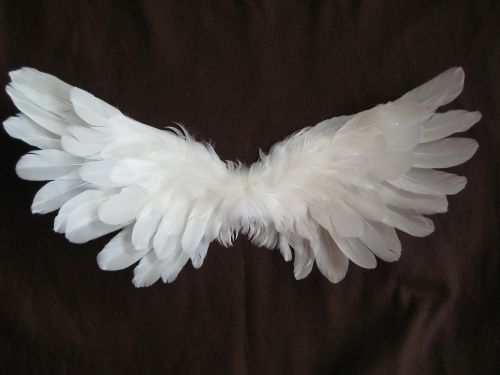 wing feather angel