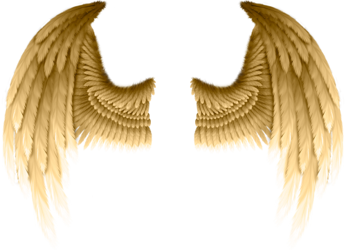 wings fantasy