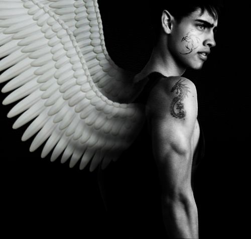 wings warrior boy
