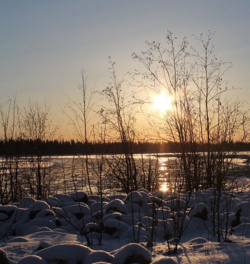 winter fairbanks tanana river