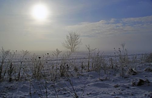 winter snow sun