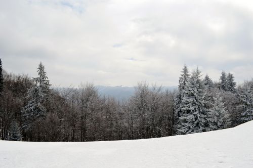winter scene mountain