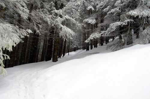 winter scene mountain