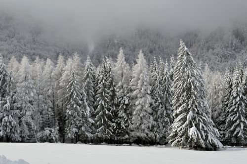 winter scene mountain